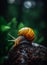 stunning breathtaking vibrant snail image generative AI