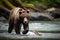 Stunning brown bear catching salmon fish. Amazing wildlife. Generative Ai