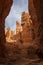 The stunning Bryce Canyon with the amazing limestone hoodoos with various shades of oranges and reds