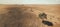 Stunning capture of a parched landscape, contrasted by surviving trees, reflecting nature's tenacity amidst harsh