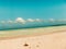 Stunning Caribbean beach of transparent water against the sun. Cuban beach, Cayo Las Brujas. landscape tropical. Calm ocean, palm