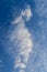 Stunning cirrus cloud formation panorama in shape of a seahorse