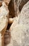 The stunning Cliff Palace of Mesa Verde National Park, Colorado