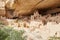 The stunning Cliff Palace of Mesa Verde National Park, Colorado