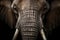 Stunning Close-up of African Elephant. Amazing African Wildlife. Generative Ai