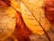 Stunning Close-Up of Autumn Leaves Against Golden Abstract Background, Bathed in Soft Sunlight. Generative Ai.