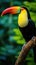 A stunning close-up of a brilliantly colored toucan perched on a tree branch