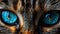 Stunning close-up of cat\\\'s eyes