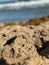 Stunning closeup shot of a beach with warm sunlight illuminating the sand