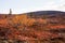 Stunning and colorful tundra landscape during fall foliage