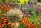 Stunning, colourful mixed perennial flower borders at the RHS Wisley garden, Surrey UK.