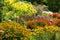 Stunning, colourful mixed perennial flower borders at the RHS Wisley garden, Surrey UK.