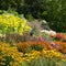 Stunning, colourful mixed perennial flower borders at the RHS Wisley garden, Surrey UK.