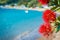 Stunning crimson blossom of Pohutukawa tree over tranquil bay water