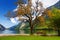 Stunning deep green waters of Konigssee, known as Germany`s deepest and cleanest lake, located in the extreme southeast Berchtesg