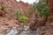 Stunning desert landscapes in the Canyon del Inca & Quebrada Palmira, near Tupiza, Bolivia