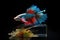 A stunning display of betta fighting fish, best lighting, 3D Ai generated