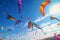 Stunning display of kites soaring in the sky