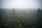 A stunning drone photo of a summer forest shrouded in thick fog. The mist creates a serene and tranquil setting, with an