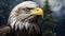 Stunning Eagle Art: Digital Painting With Realistic Animal Portraits