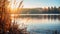 Stunning Fall Sunrise On Lake: Selective Focus Uhd Image