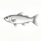 Stunning Fish Illustration With Adox Silvermax Style - Bold Outlines, Realistic Detail