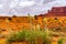 Stunning flower Yucca glauca blooms in Monument Valley