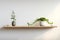 Stunning Fusion of Minimalist Marthadrmundobulmajr Hanging Shelf and Greenery