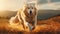 Stunning Golden Retriever Wallpaper: Majestic Dog Running In The Wilderness