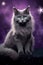 stunning gray cat on purple background with stars and sparkles