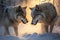 Stunning gray wolves fighting in snow. Amazing wild life. Generative Ai