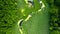 Stunning green algae on the river in spring, aerial view