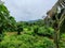 Stunning greenery hills meadows and trees under the sky