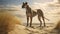 Stunning Hyperrealistic Wildlife Portraits: Majestic Dogs In The Desert