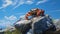 Stunning Illustration Of A Red Crab On A Rock With Blue Grass And Sky