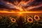 A stunning image of a field of sunflowers illuminated by the setting sun, A sunflower field stretching into the horizon, AI