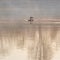 Stunning image of Great Crested Grebes Podiceps Aristatus during mating season in Spring on misty calm lake surface