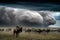 Stunning image of a Herd of wildebeest in a green field as a big storm approaches. Amazing African wildlife