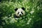Stunning Image of a Serene Panda Amidst Lush Greenery, Offers Ample Space for Text
