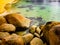 Stunning and incredible granite boulders at Refuge Cove, Wilson\\\'s Promontory, Victoria, Australia.