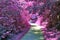 Stunning infrared view on purple fantasy landscapes with some ashpalt roads