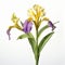 Stunning Iris Image With Realistic Banana Tree On White Background
