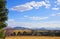 Stunning landscape cattle grazing fields, farms, blue sky, mountain range