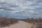 Stunning landscape featuring a long road surrounded by spindly, arid Prosopis tamarugo bushes