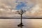 Stunning landscape image of Milarrochy Bay on Loch Lomond in Scottish Highlands with stunning Winter evening ligh