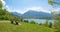 stunning landscape panorama viewpoint Leeberg hill, lake Tegernsee and bavarian alps