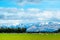 A stunning landscape scene of the agriculture in a rural area in New Zealand with a flock of sheep on a green grassland in the