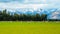 A stunning landscape scene of the agriculture in a rural area in New Zealand with a flock of sheep on a green grassland in the