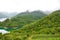 Stunning landscape by Thousand Island Lake with Pinglin Tea Plantation on a lake coast. Photographed in fog, moody weather.