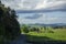 Stunning landscape with vibrant green meadows and cows grazing